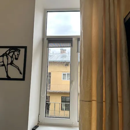 Vintage Apartment Lviv